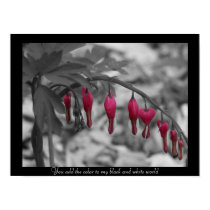 Red Bleeding Hearts Poster posters