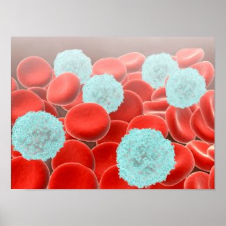 Red Blood Cells With White Blood Cells Poster