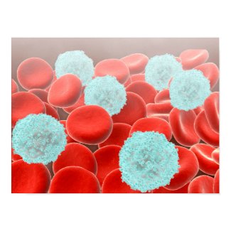 Red Blood Cells With White Blood Cells Poster