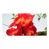 Red Bloom for Love photo cards by doonagiri Red Bloom for Love photo cards