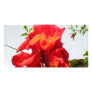 Red Bloom for Love Customized Photo Card