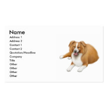 Red Border Collie Business Card