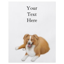 Red Border Collie Flyer