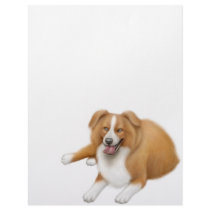 Red Border Collie Letterhead