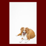 Red Border Collie Stationery stationery