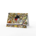 Red Breasted Grosbeak cards