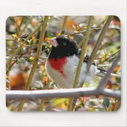 Red Breasted Grosbeak mousepad