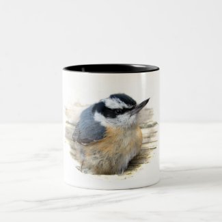 Red-breasted Nuthatch