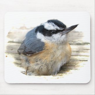 Red-breasted Nuthatch Mousepad