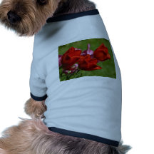 Red Breeze Dog Clothes