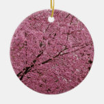 Red Bright spring blossoms on flowering plum trees Christmas Ornaments