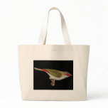Red-browed Finch - Neochmia temporalis bags