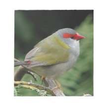 Red Browed Finch Note Pad