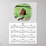 Red-Brown Haired Orangutan Calendar 2012