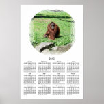 Red-Brown Haired Orangutan Calendar 2013 Posters