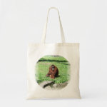 Red-Brown Haired Orangutan Sitting On Grass bag