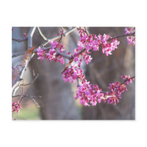 red buds postcards by KatAnnette red buds postcards