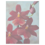 Red Burrageara letterhead