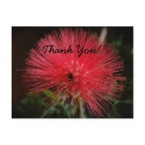 Red Burst "Thank You" Postcard by pulsDesign Red Burst "Thank You" Postcard