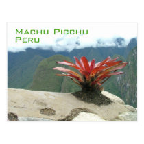 Red bush, Machu Picchu, Peru postcards