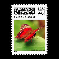 Red Butterfly Postage postage by Rajee1 Red Butterfly Postage postage