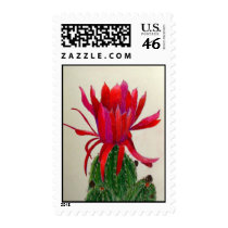 Red Cactus Flower Stamp stamps