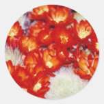 Red Cactus scarlet ball flowers Round Stickers