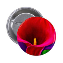 Red Cala Lily Flower Painting Art - Multi buttons