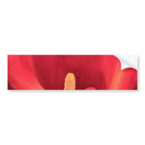 Red Cala Lily Tropical Flower Art - Multi bumper stickers by JUDERM Red Cala Lily Tropical Flower Art - Multi bumper stickers