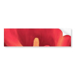 Red Cala Lily Tropical Flower Art - Multi Bumper Sticker