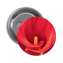 Red Cala Lily Tropical Flower Art - Multi Pin