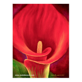 Red Cala Lily Tropical Flower Art - Multi Postcard