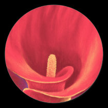 Red Cala Lily Tropical Flower Art - Multi stickers