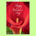 Red Cala LIly Tropical Flower Painting - Multi cards by JUDERM Red Cala LIly Tropical Flower Painting - Multi cards