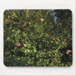 Red Camellia Bush mousepads