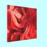 Red Camellia Floral Abstract canvas prints