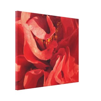 Red Camellia Floral Abstract Canvas Print