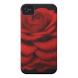 Red Camellia iPhone Case casemate cases