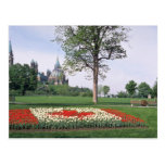 Red Canadian flag with tulips, Major's Hill Park, Postcards
