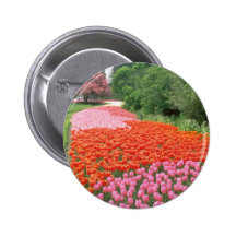 Red Canadian Tulip Festival, Experimental Farm, Ot Pinback Buttons
