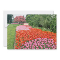 Red Canadian Tulip Festival, Experimental Farm, Ot Invitation