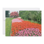 Red Canadian Tulip Festival, Experimental Farm, Ot Invitation
