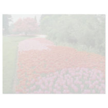 Red Canadian Tulip Festival, Experimental Farm, Ot Custom Letterhead