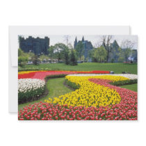 Red Canadian Tulip Festival, Major Hills Park, Ott Invitation
