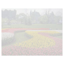 Red Canadian Tulip Festival, Major Hills Park, Ott Custom Letterhead