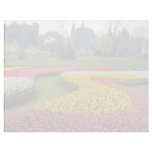 Red Canadian Tulip Festival, Major Hills Park, Ott Custom Letterhead