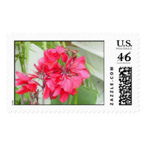 Red Canna Lily postage by titanic Red Canna Lily postage