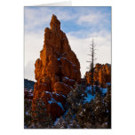 Red Canyon Sentinel Cards