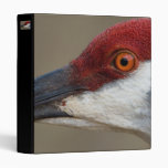 Red Cap Vinyl Binder