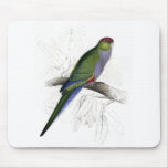Red-Capped Parrakeet (Female) by Edward Lear Mouse Pads